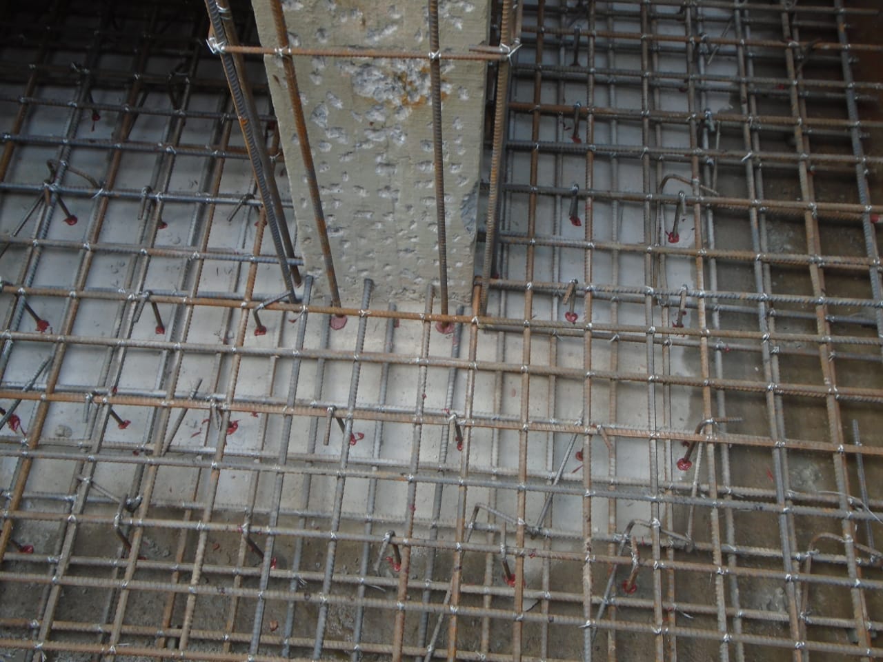 WhatsApp-Image-2021-02-21-at-4.39.02-PM-2-1